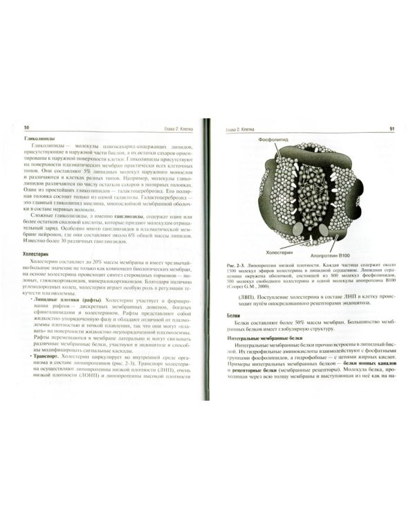 Гистология, эмбриология, цитология: Учебник. 4-е изд., перераб. и доп