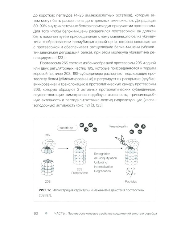Золото и серебро в экспериментальной терапии опухолей