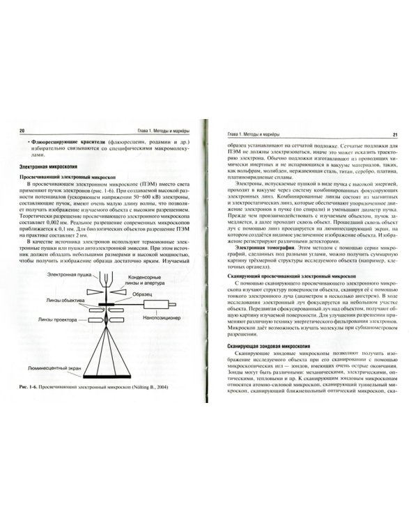 Гистология, эмбриология, цитология: Учебник. 4-е изд., перераб. и доп