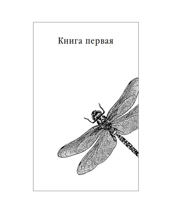 Дополнительное изображение книги «Золотое проклятье: роман»