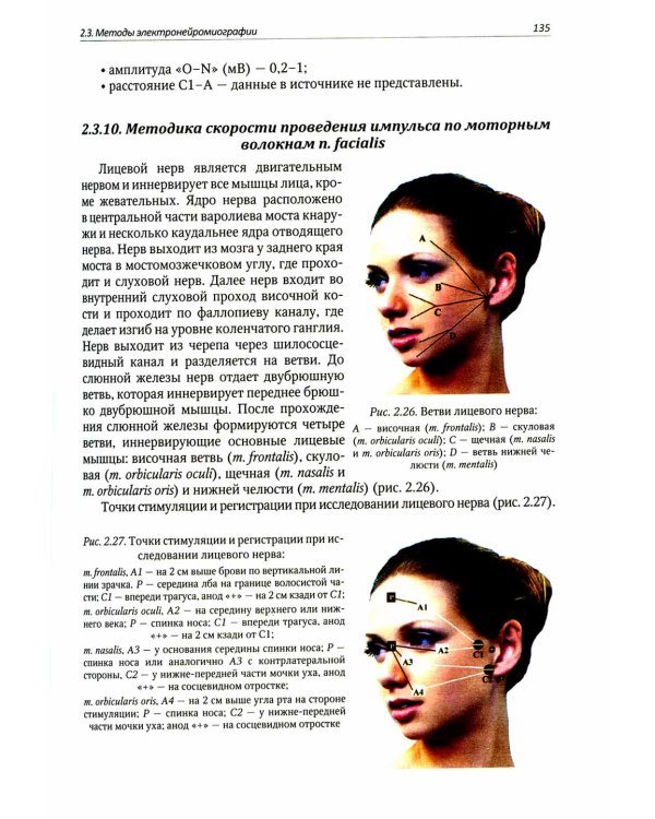 Функциональная и ультразвуковая диагностика в неврологии и нейрохирургии: руководство