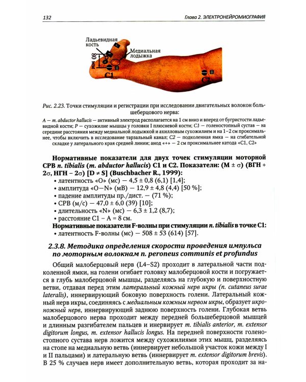 Функциональная и ультразвуковая диагностика в неврологии и нейрохирургии: руководство