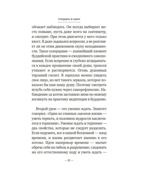 Дополнительное изображение книги «Однажды ко мне пришел кот»