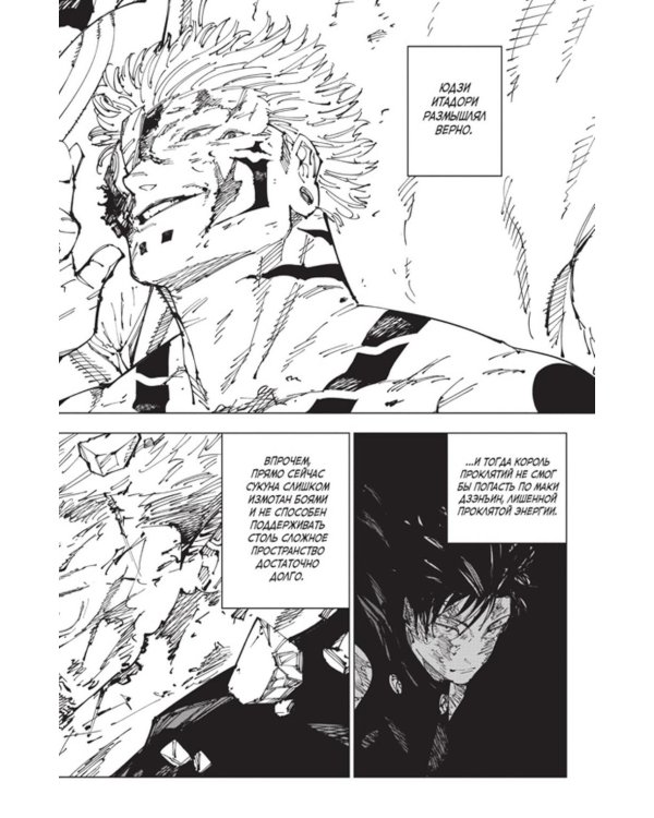 Магическая битва 15. Кн. 29-30: Жизнь и смерть. Что ждет нас в будущем: манга