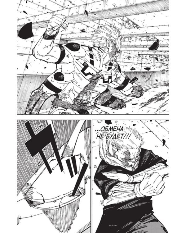 Магическая битва 15. Кн. 29-30: Жизнь и смерть. Что ждет нас в будущем: манга