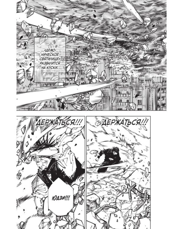 Магическая битва 15. Кн. 29-30: Жизнь и смерть. Что ждет нас в будущем: манга