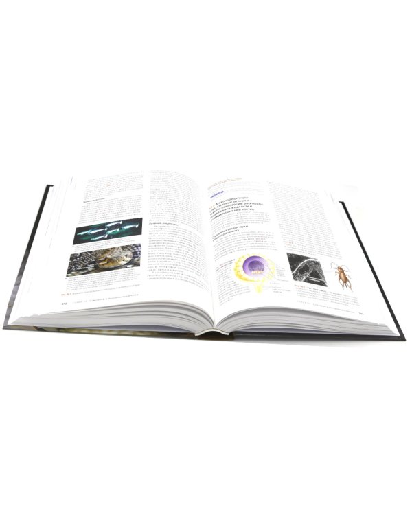 Биология Campbell. Т. 1-3 (комплект)