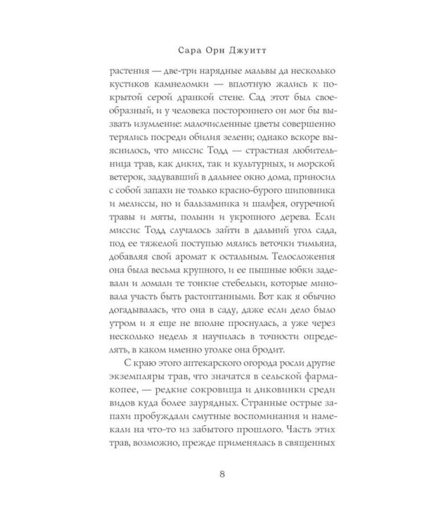Край островерхих елей