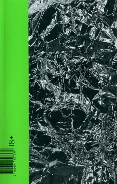 Год порно: роман