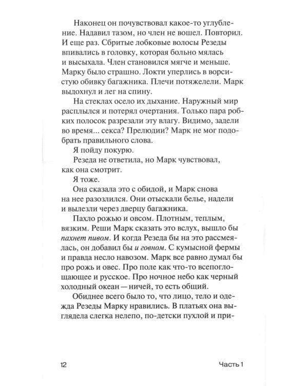 Год порно: роман