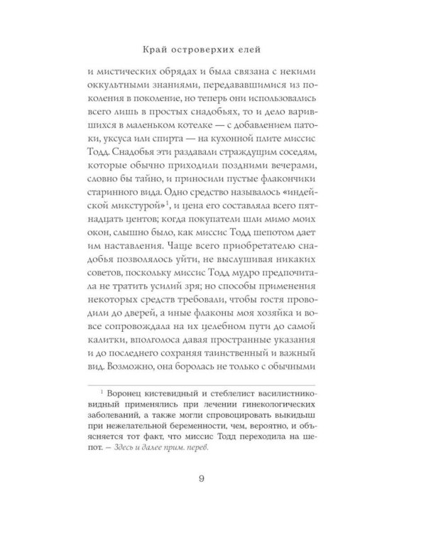 Край островерхих елей