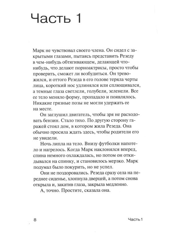 Год порно: роман