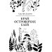 Край островерхих елей