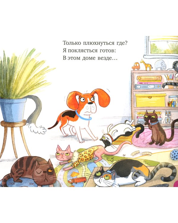 Слишком много котов (обл.)