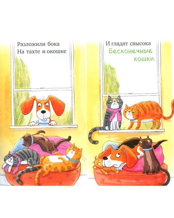 Слишком много котов (обл.)