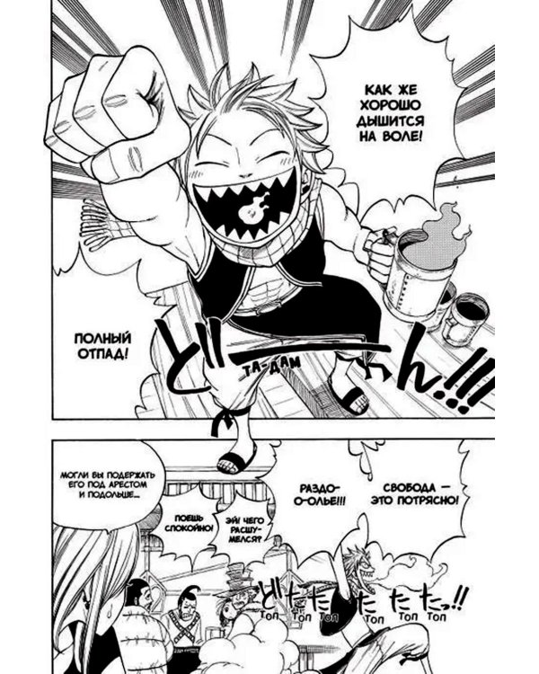 Хвост Феи, т. 4