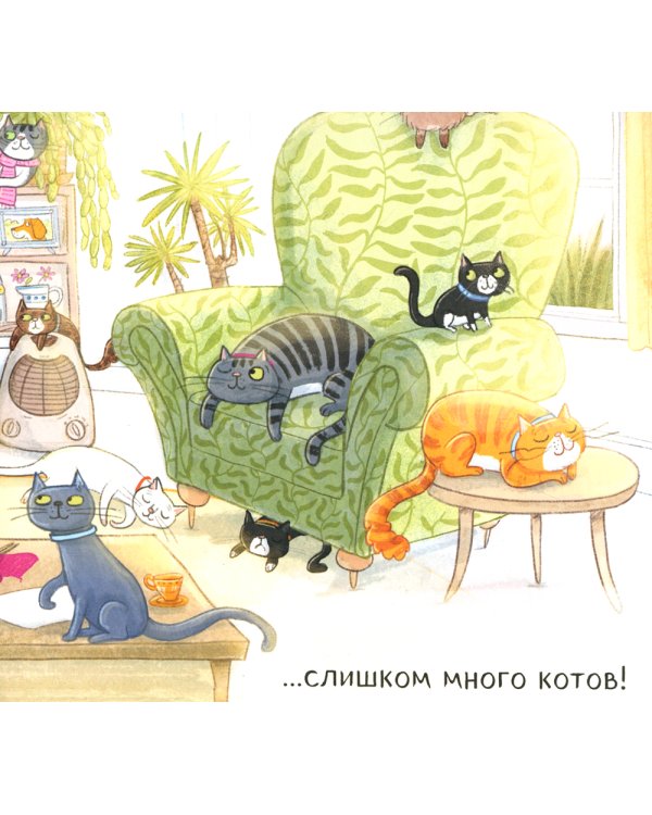 Слишком много котов (обл.)