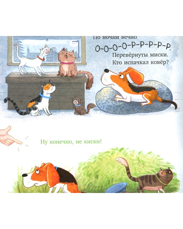 Слишком много котов (обл.)