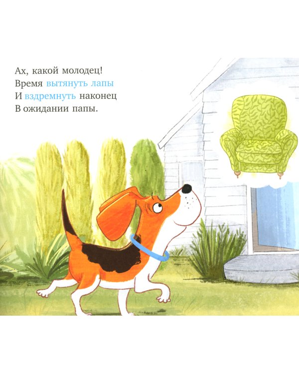 Слишком много котов (обл.)