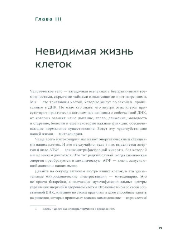 Молекулы выносливости. Как тренировки меняют работу клеток