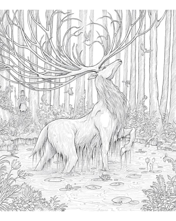 Земля мифов. Экстремальные раскраски