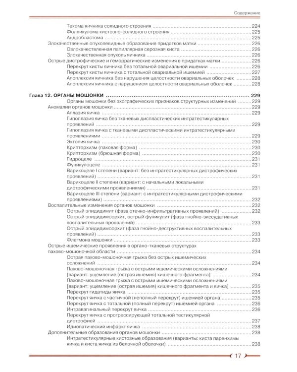 Абдоминальная эхография. Построение протоколов исследований
