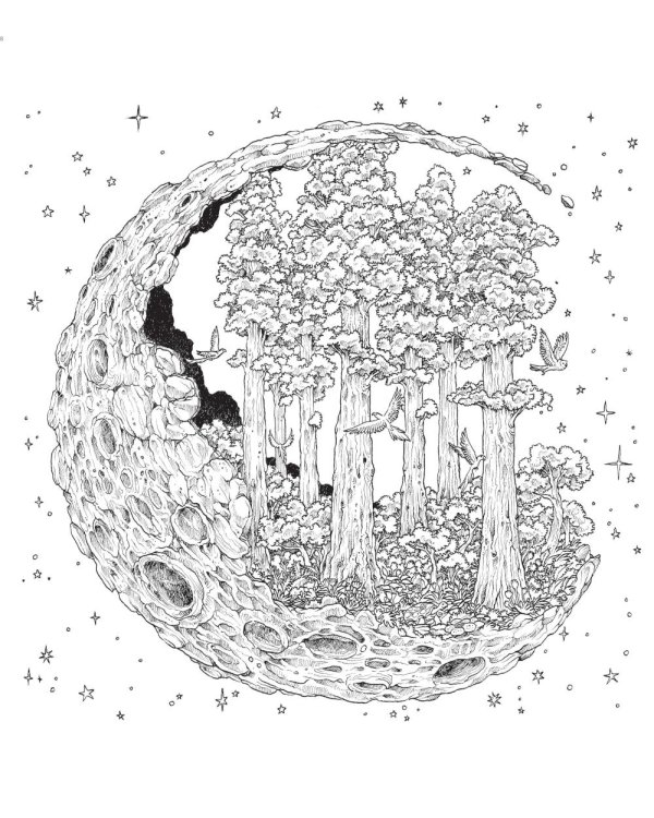 Мироморфозы. Экстремальные раскраски