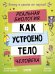 Реальная биология. Как устроено тело человека