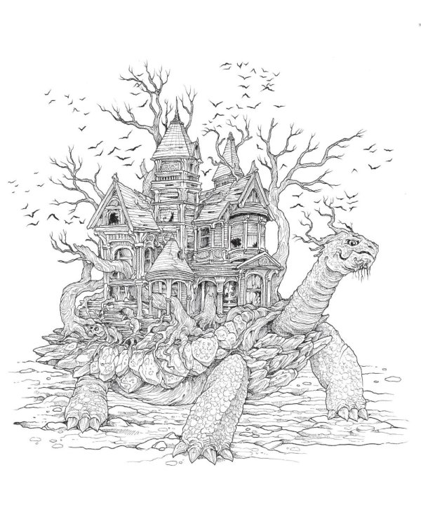 Мироморфозы. Экстремальные раскраски