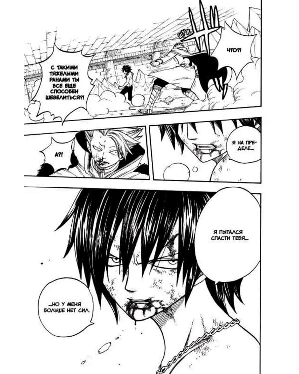 Хвост Феи, т. 6