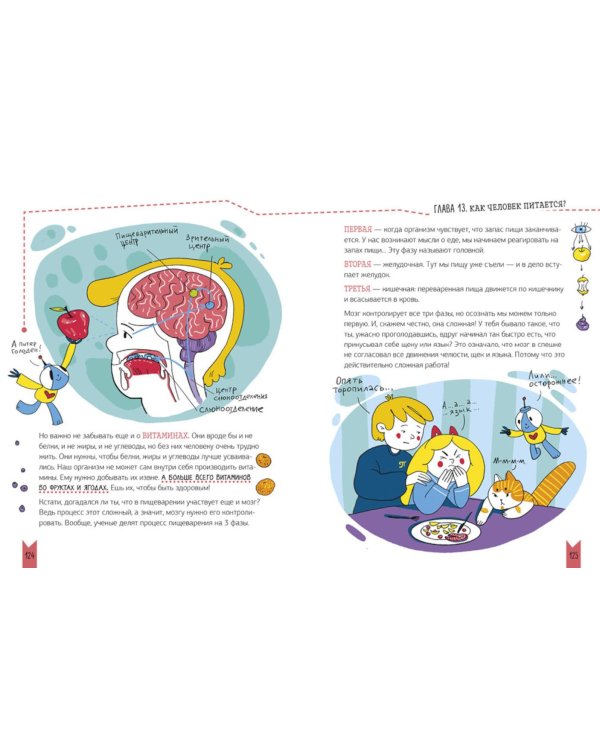 Реальная биология. Как устроено тело человека