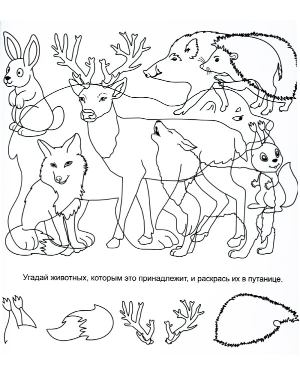 Умная раскраска. Путаница