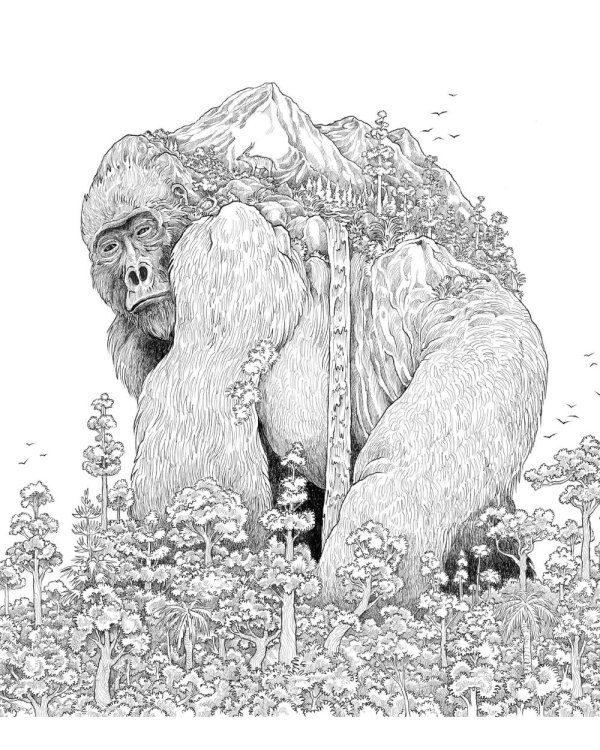 Хрупкий мир. Экстремальные раскраски