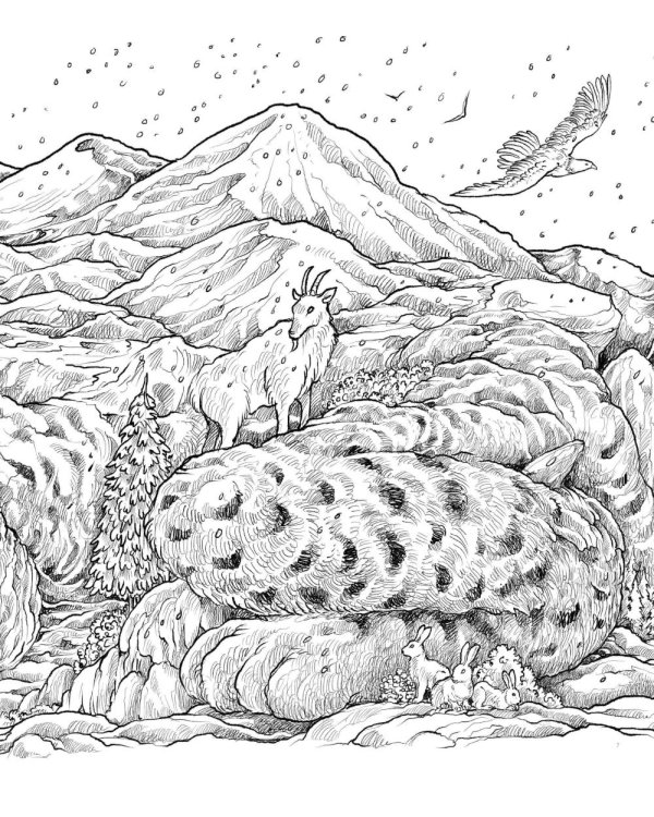 Хрупкий мир. Экстремальные раскраски