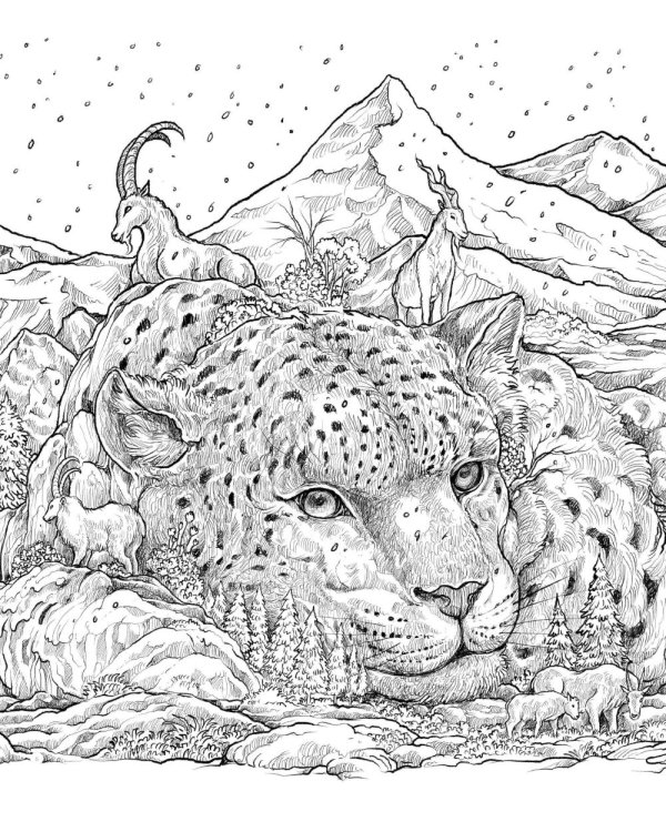 Хрупкий мир. Экстремальные раскраски