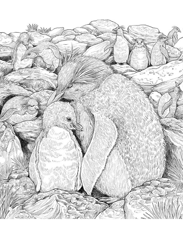 Хрупкий мир. Экстремальные раскраски