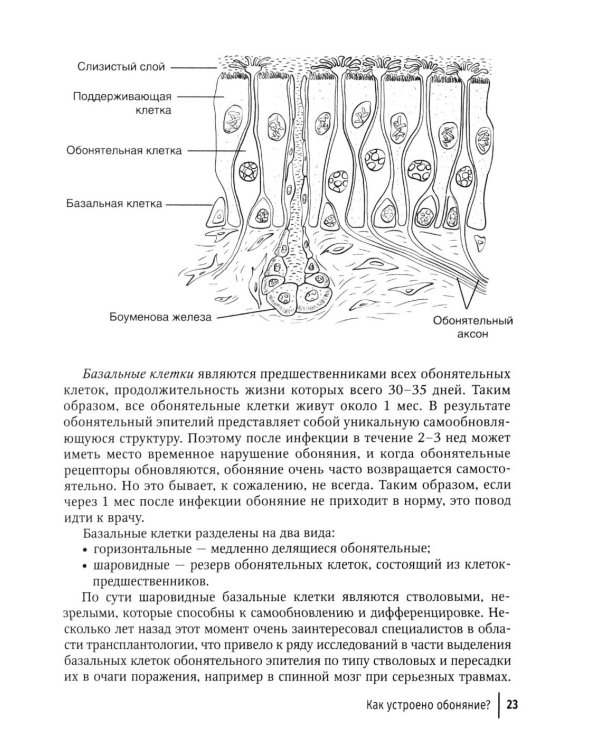 Пятое чувство