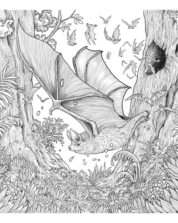 Хрупкий мир. Экстремальные раскраски