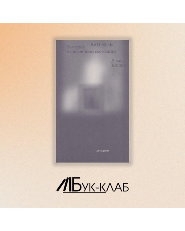 Дополнительное изображение книги «Self Study: заметки о шизоидном состоянии»