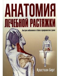 Анатомия лечебной растяжки: быстрое избавление от боли и профилактика травм