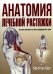 Анатомия лечебной растяжки: быстрое избавление от боли и профилактика травм