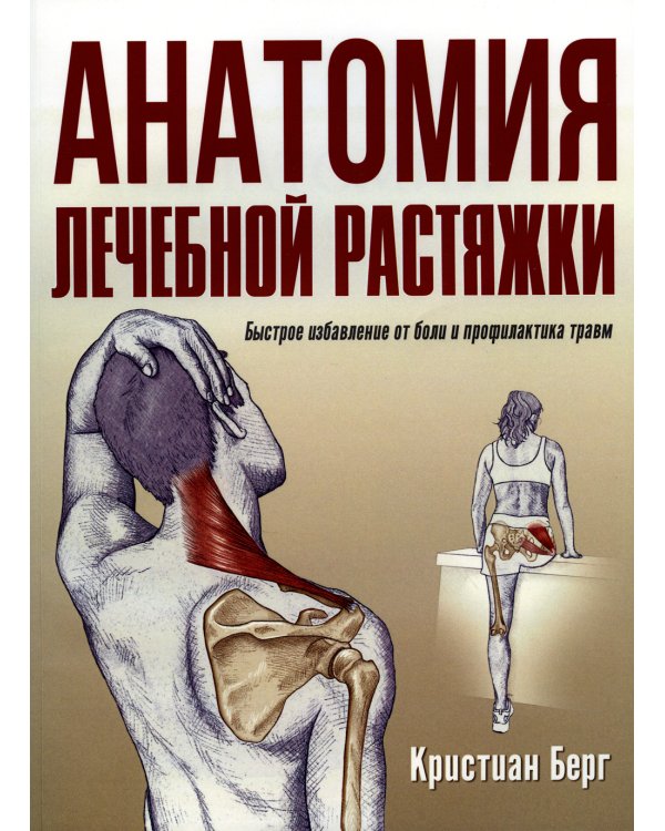 Анатомия лечебной растяжки: быстрое избавление от боли и профилактика травм