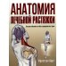 Анатомия лечебной растяжки: быстрое избавление от боли и профилактика травм