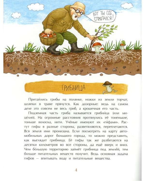Грибное царство