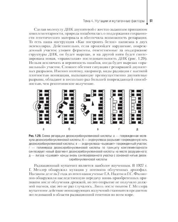 Генетика человека с основами медицинской генетики: Учебник. 4-е изд., перераб. и доп