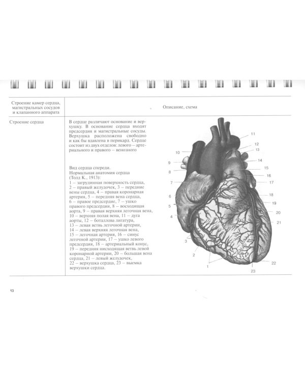Эхокардиография в таблицах и схемах. Настольный справочник. 4-е изд., испр. и доп