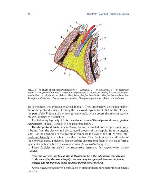 Topographic Anatomy and Operative Surgery: textbook: на англ.яз
