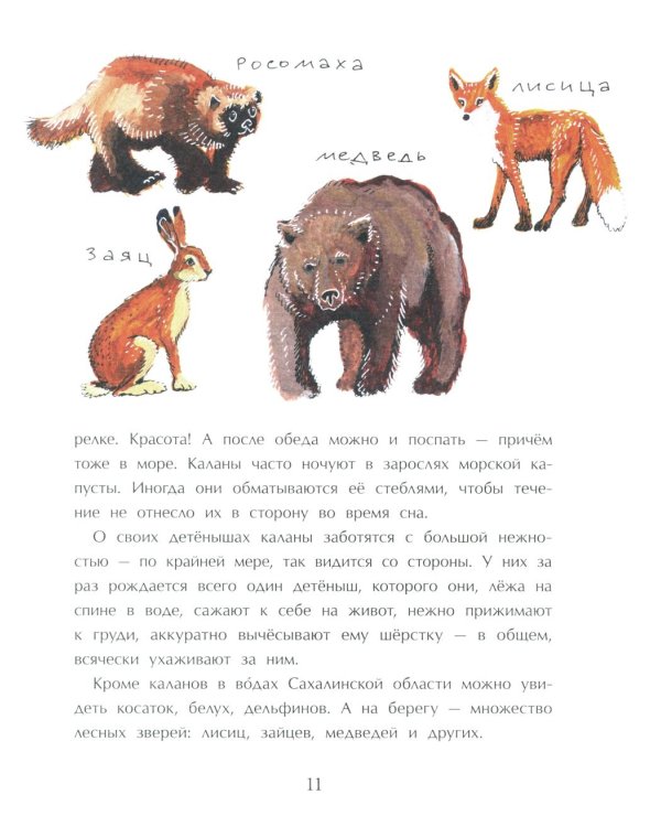 Сахалин. Самый большой остров в России. Вып. 249. 3-е изд
