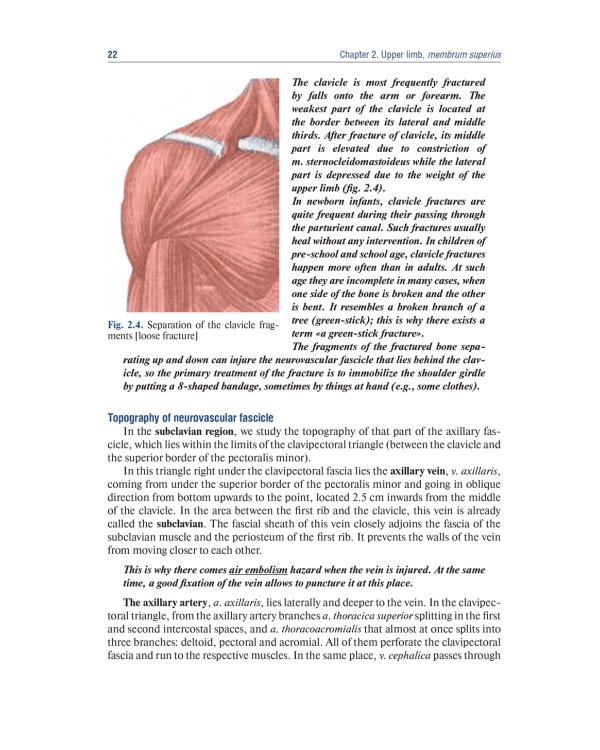 Topographic Anatomy and Operative Surgery: textbook: на англ.яз