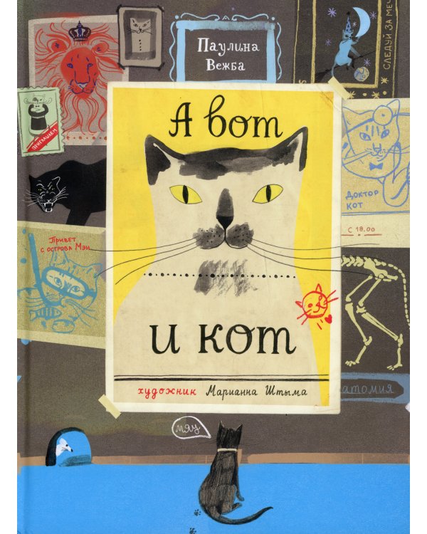 А вот и кот